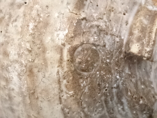 道具 ] - 道具 萩焼 厚東建信造 茶碗（共箱） | ネットショップ圭